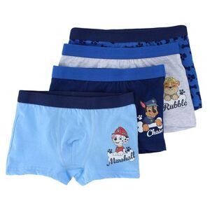 Textiel Trade Boy's Paw Patrol Characters Boxer Briefs (4 Pack)